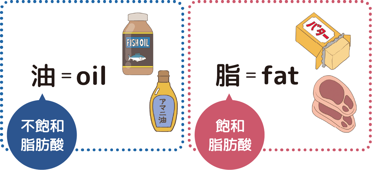 油と脂の違いとは？