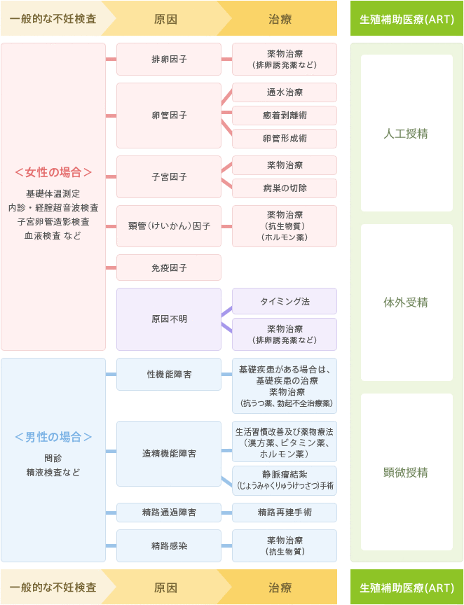 不妊治療の流れ