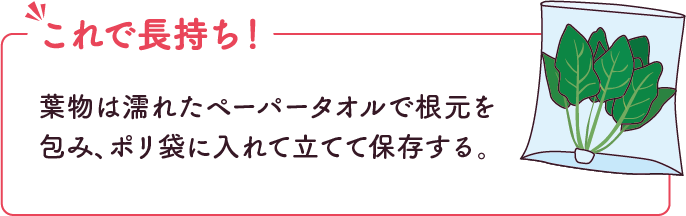 これで長持ち！