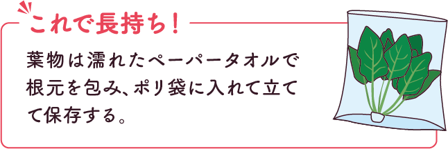 これで長持ち！