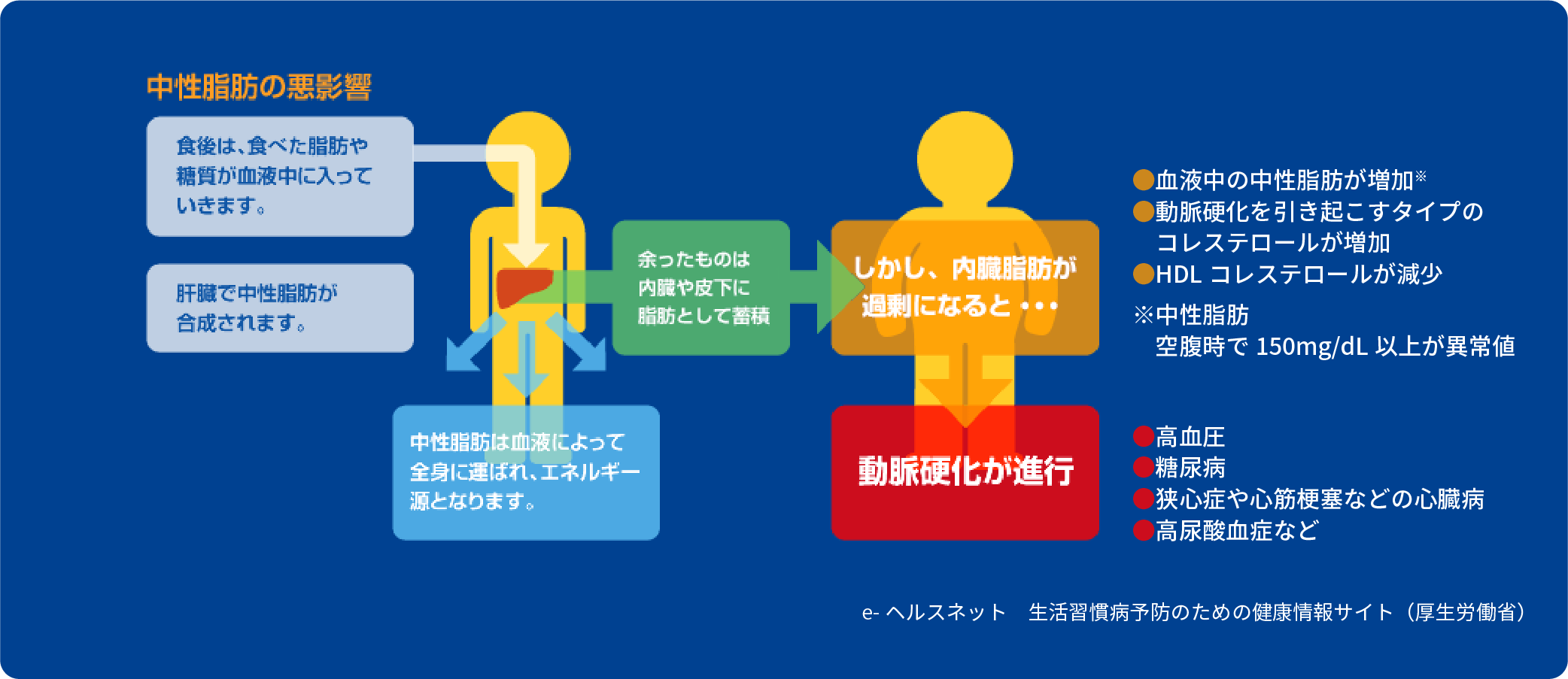 図：中性脂肪の悪影響・・・ e-ヘルスネット　生活習慣病予防のための健康情報サイト（厚生労働省）