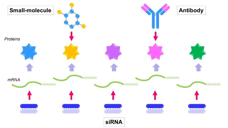 Oligonucleotide Therapeutics