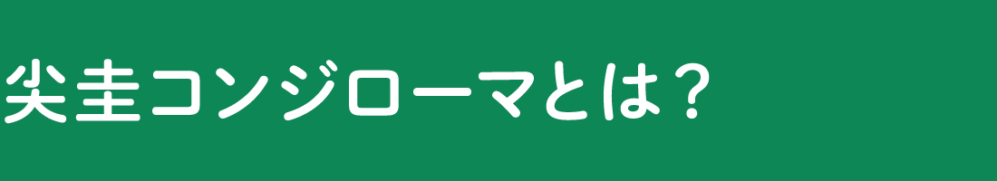 尖圭コンジローマだと思ったら［男性］ - イボイボ コミュニケーション 