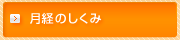 月経のしくみ