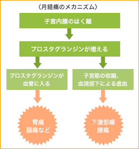 痛み の原因 がまんしていませんか 痛みを知って上手に付き合うために 子宮内膜症