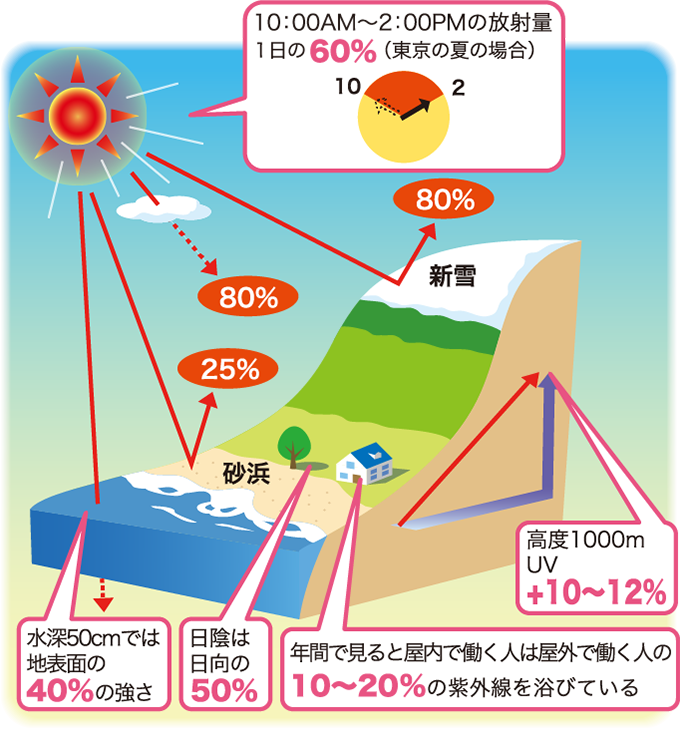 紫外線の反射と透過