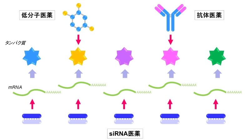 核酸医薬